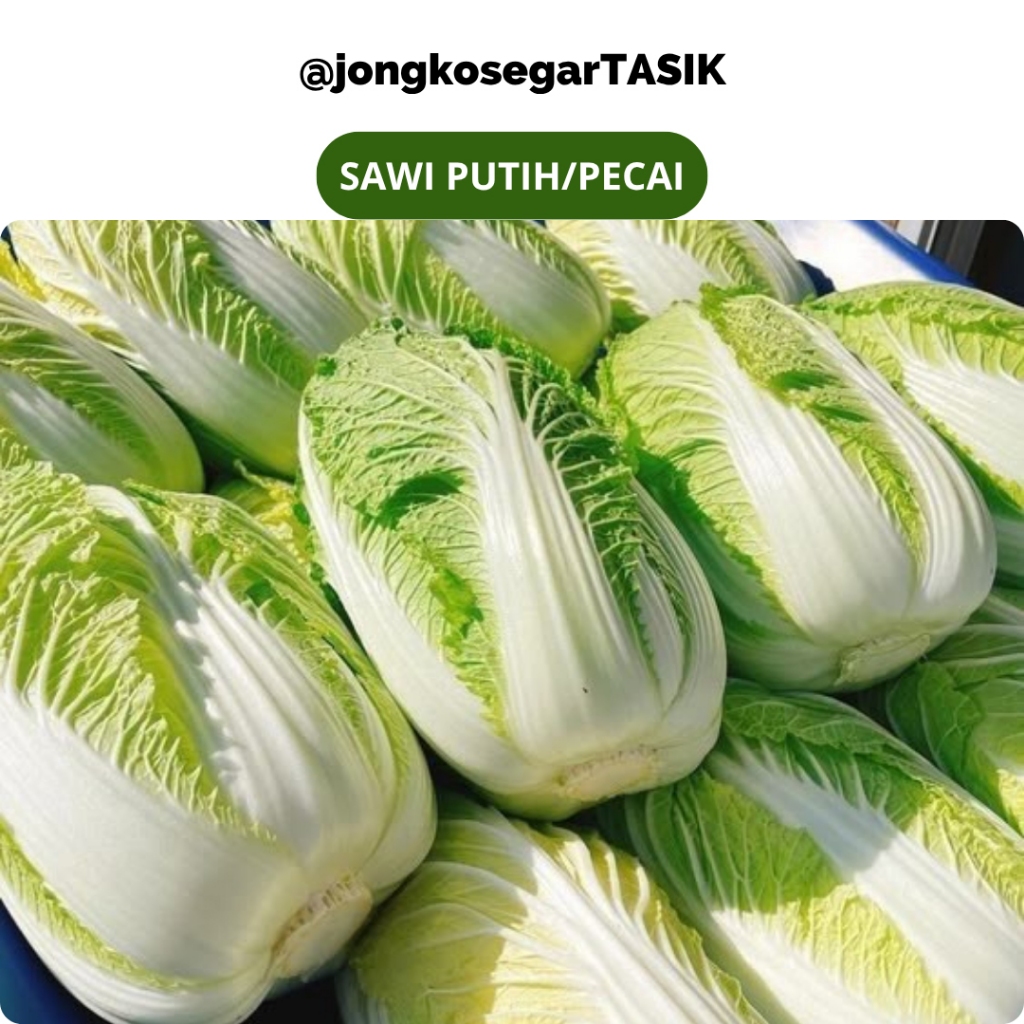 

jongkosegarTASIK - 500 Gram Sawi Putih Segar Kualitas Baik