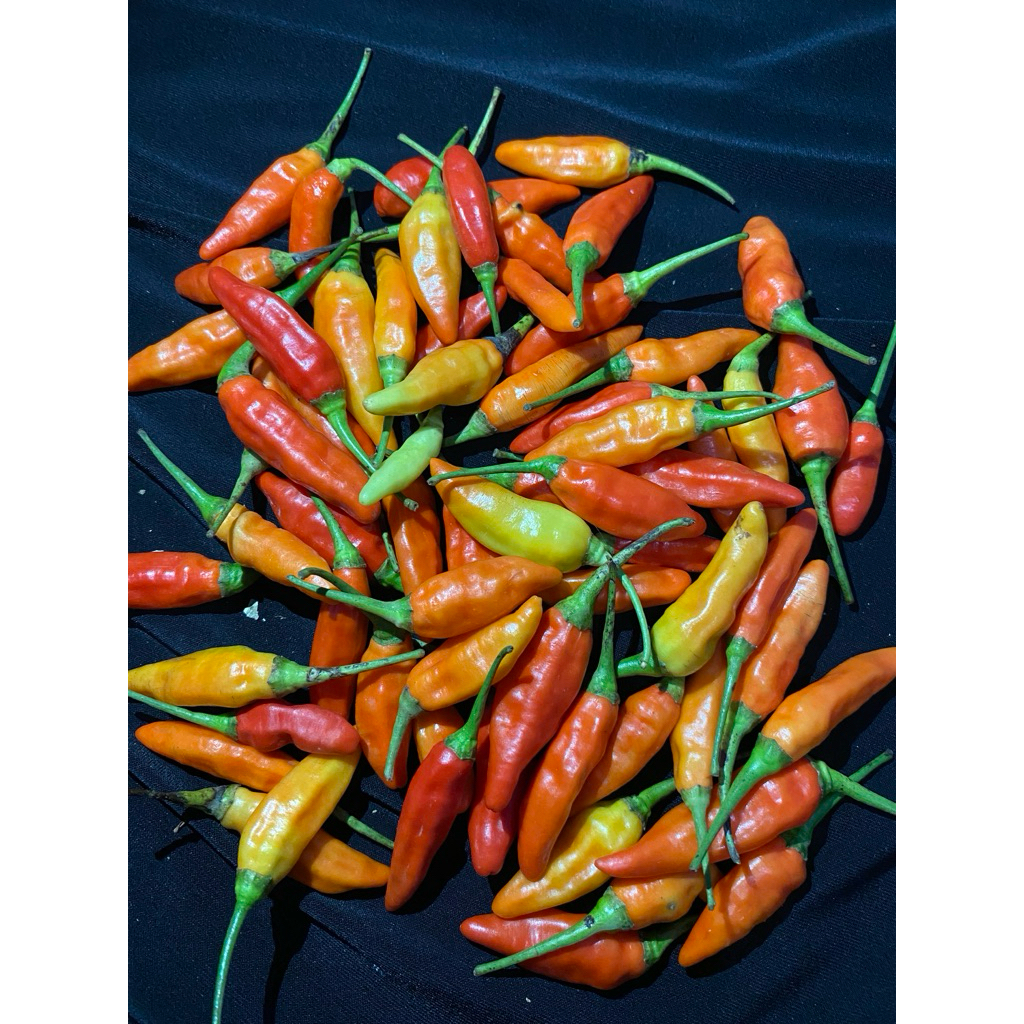 

CABE RAWIT ORIII Berat 500gr