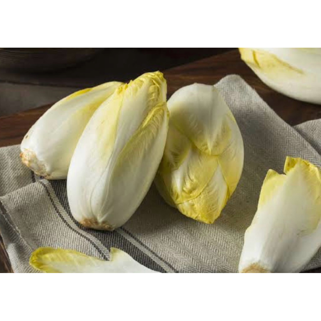 

Endive Witloaf Import | Sayur Impor Wiloaf Import 300gram | Pcs