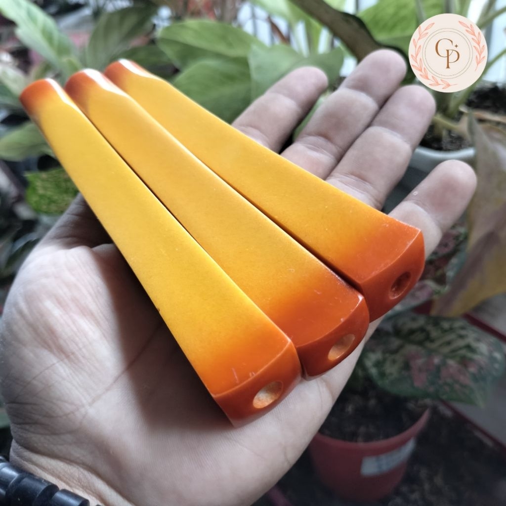 Pipa once / once cangklong sari gading 99 / srigading 99 lawasan / serbuk tulang mirip 99 lawasan mo