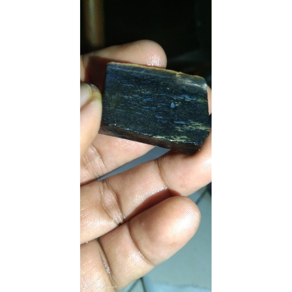 Batu fosil galih kelor serat emas super