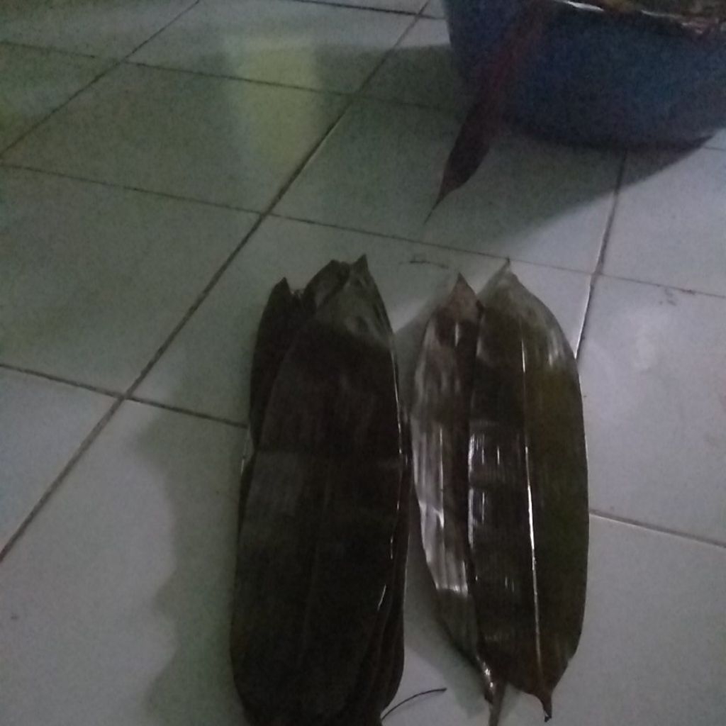 

daun bambu sudah rebus seap pakai 6/7/8fres 25 lembar