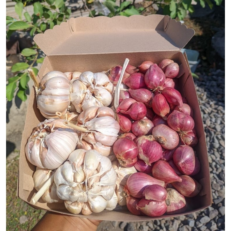 

Paket Hemat Bawang Merah Dan Bawang Putih 1kg