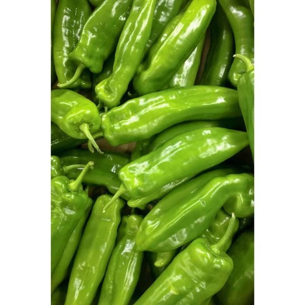 Green Earth - Bibit Benih Biji Sayur Cabe Cubanelle Pepper - Benih Tanaman Pohon Cabe Cubanelle - Bi