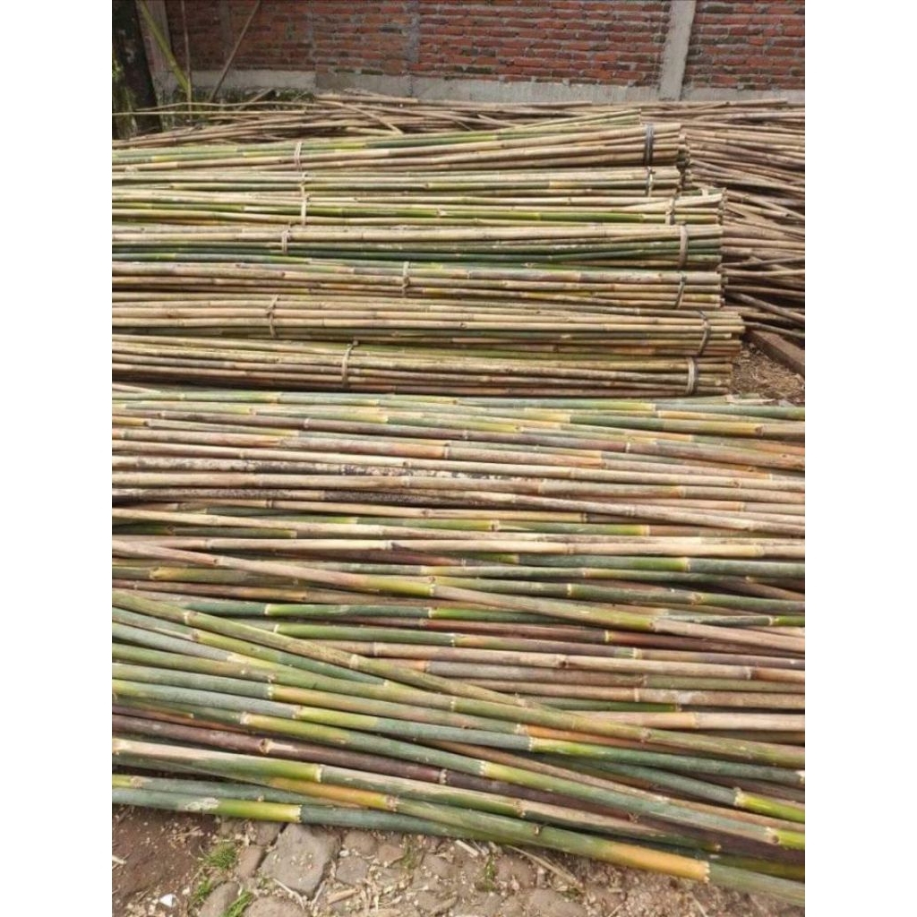 Bambu tiang bendera
