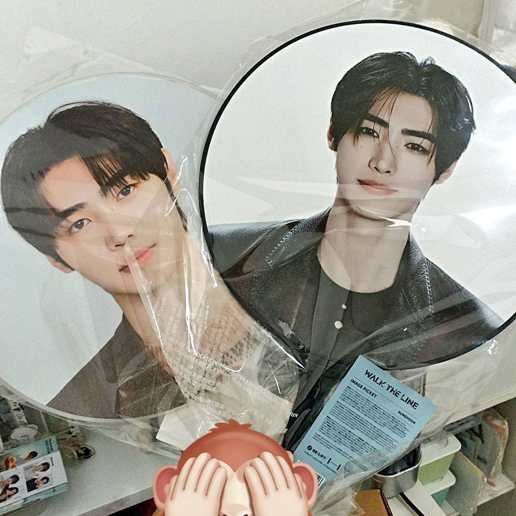 IMAGE PICKET (IMPICT) — SUNGHOON ENHYPEN EN-CONNECT COMPANION