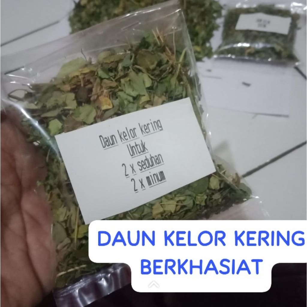

DAUN KELOR KERING BERKHASIAT