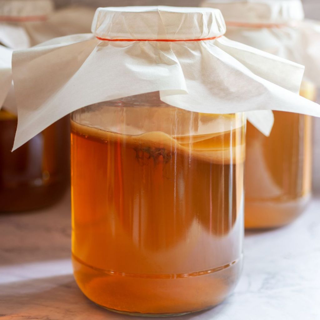 

Air Starter Kombucha Strong 500 Ml / Kombucha Tua