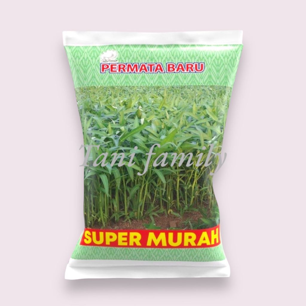 Benih Kangkung 1 KG SUPER MURAH Produk Permata Baru | Bibit Kangkung 1 kg