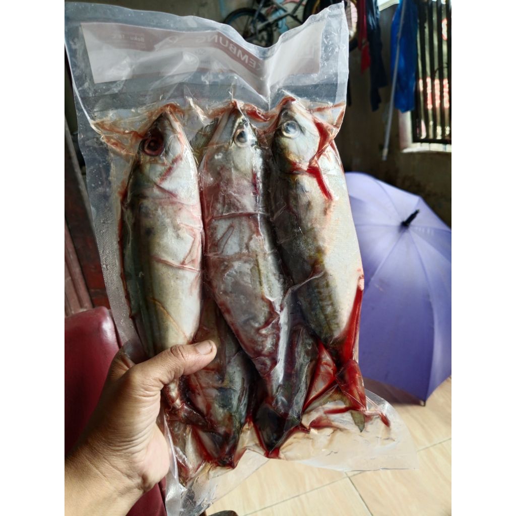

IKAM KEMBUNG 1 KG IKAN