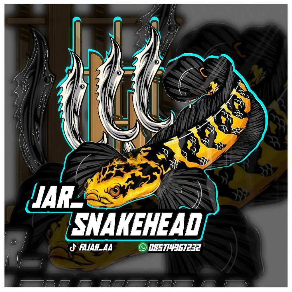 KAYU CHANA STEWARTI SIZ 4-5 CM