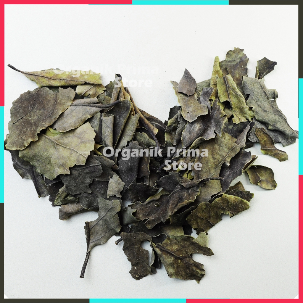 

Benalu Kering 100gr Asli Bersih dan Organik