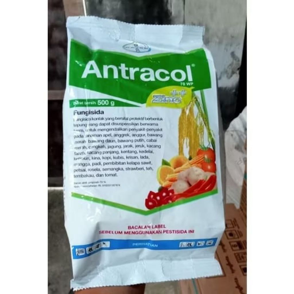 fungisida Antracol 70 WP 500 Gram