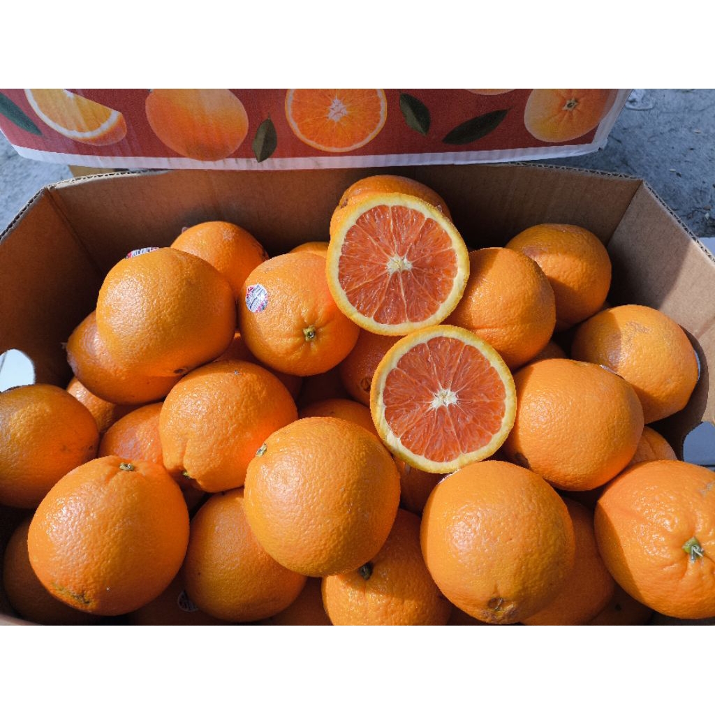 

Sunkist Cara Cara - Buah Premium Manis segar Full Air