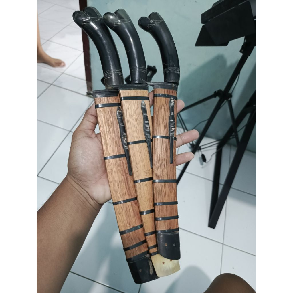 GOCIL GALONGGONG TANDUK