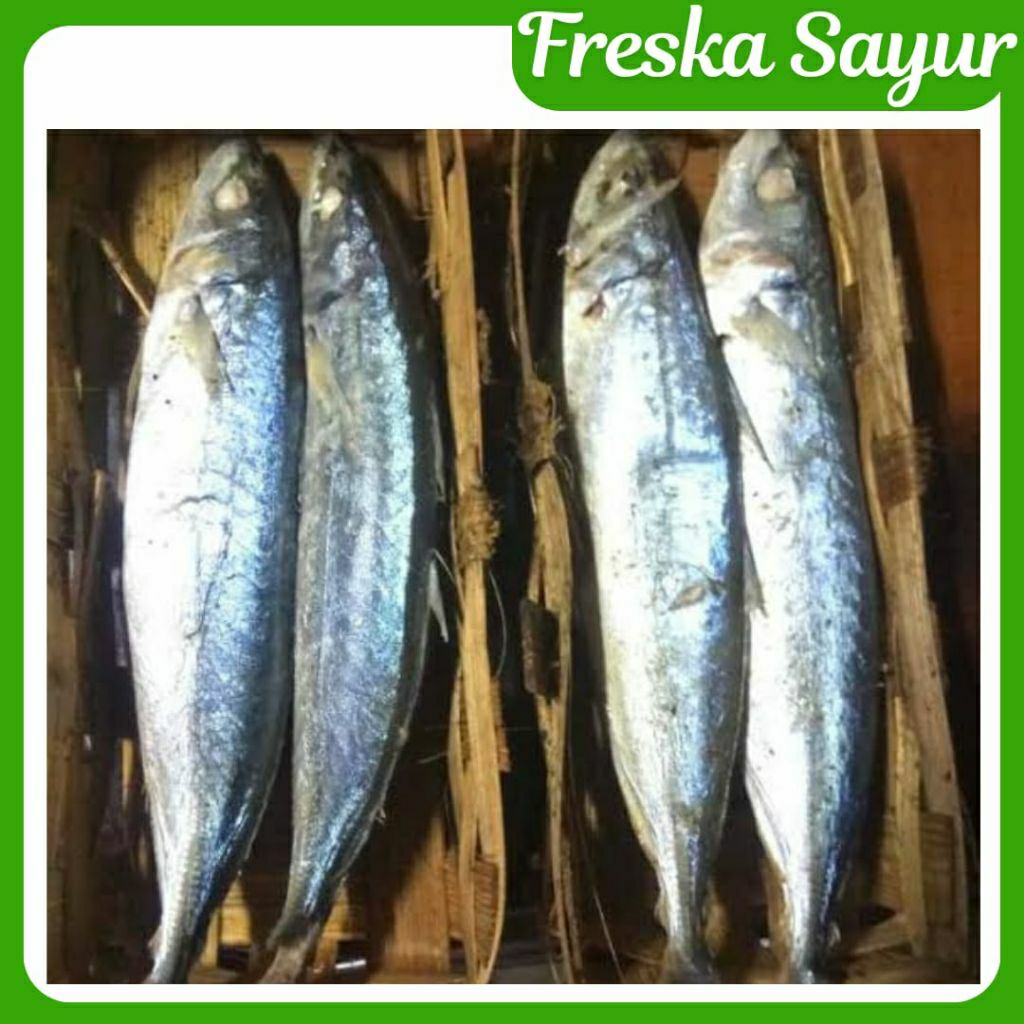 

Ikan Cue Layang 1 Keranjang