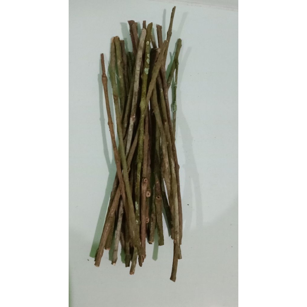 Ranting kayu jambu biji kering, panjang 20 cm bahan kerajinan tangan/prakarya