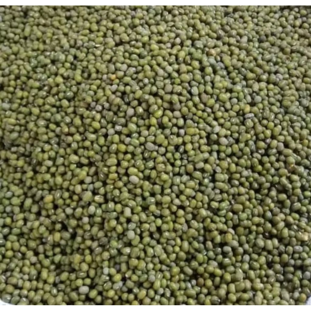 

500 Gram Kacang Hijau - Kacang Padi