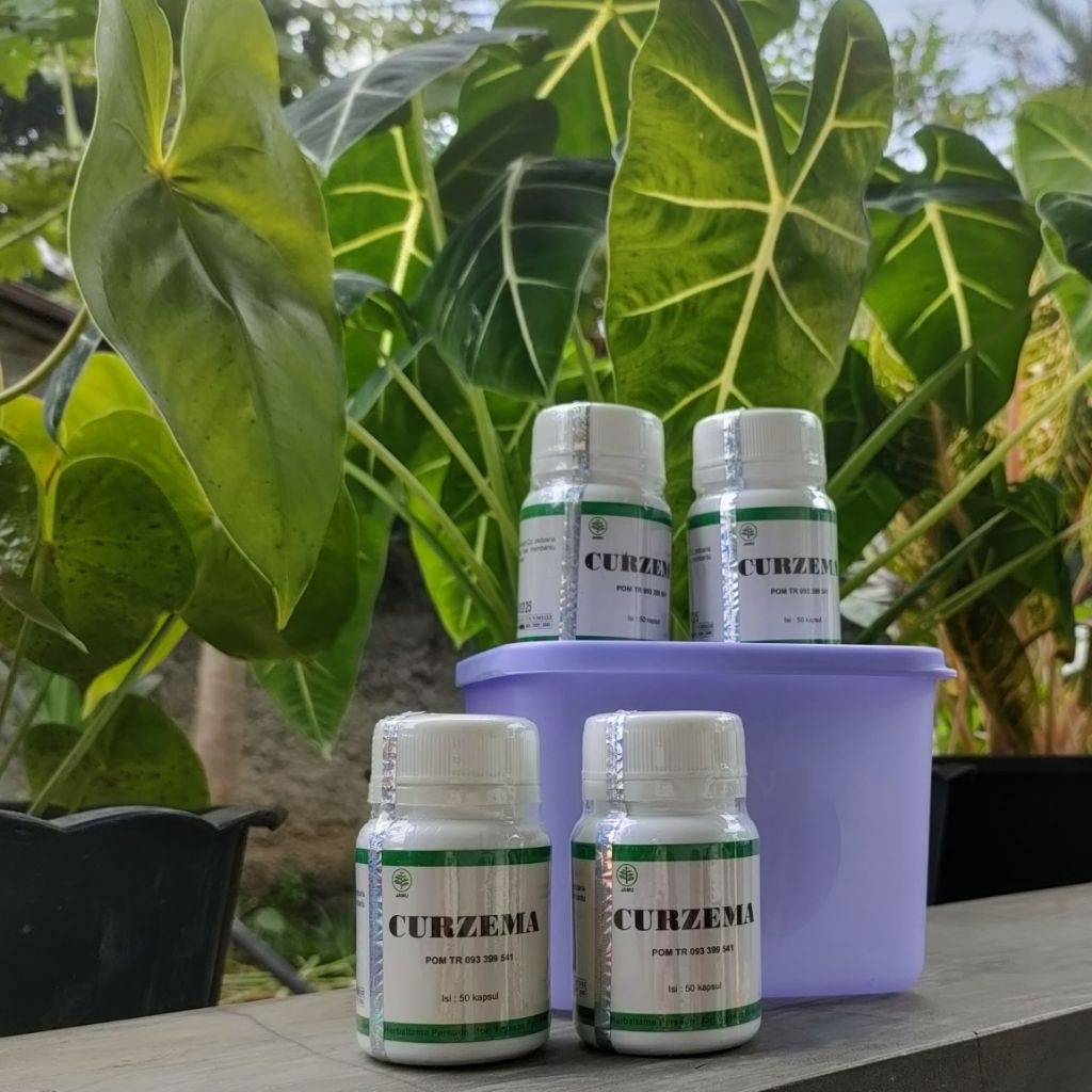 

CURZEMA ORIGINAL HERBAL KANKER KISTA MIOM TUMOR ASAM URAT