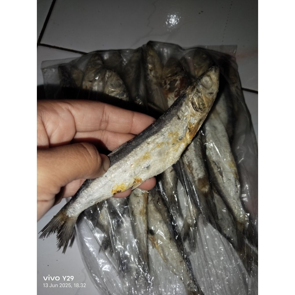 

ikan asin Japu kualitas premium