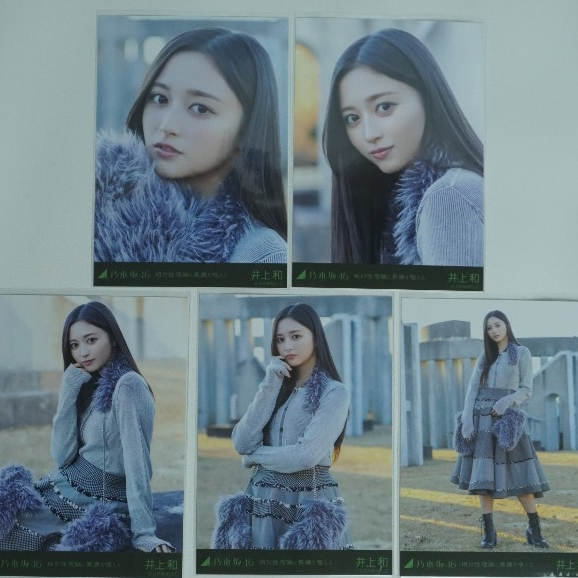 Photopack Inoue Nagi Nogizaka46 Soutaiseiriron set 5 pcs