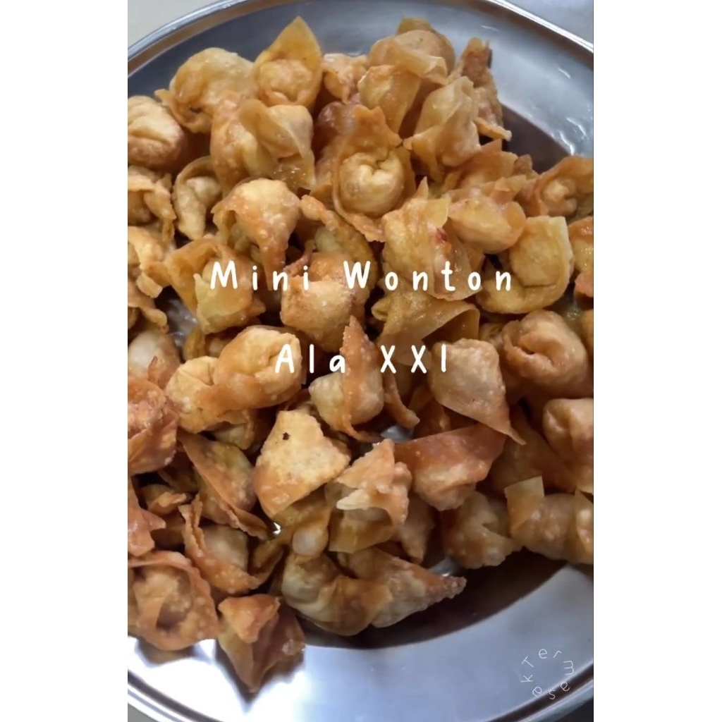 

MINI WONTON BUMI FOOD PANGSIT MINI ALA XX1 BERAT 500G