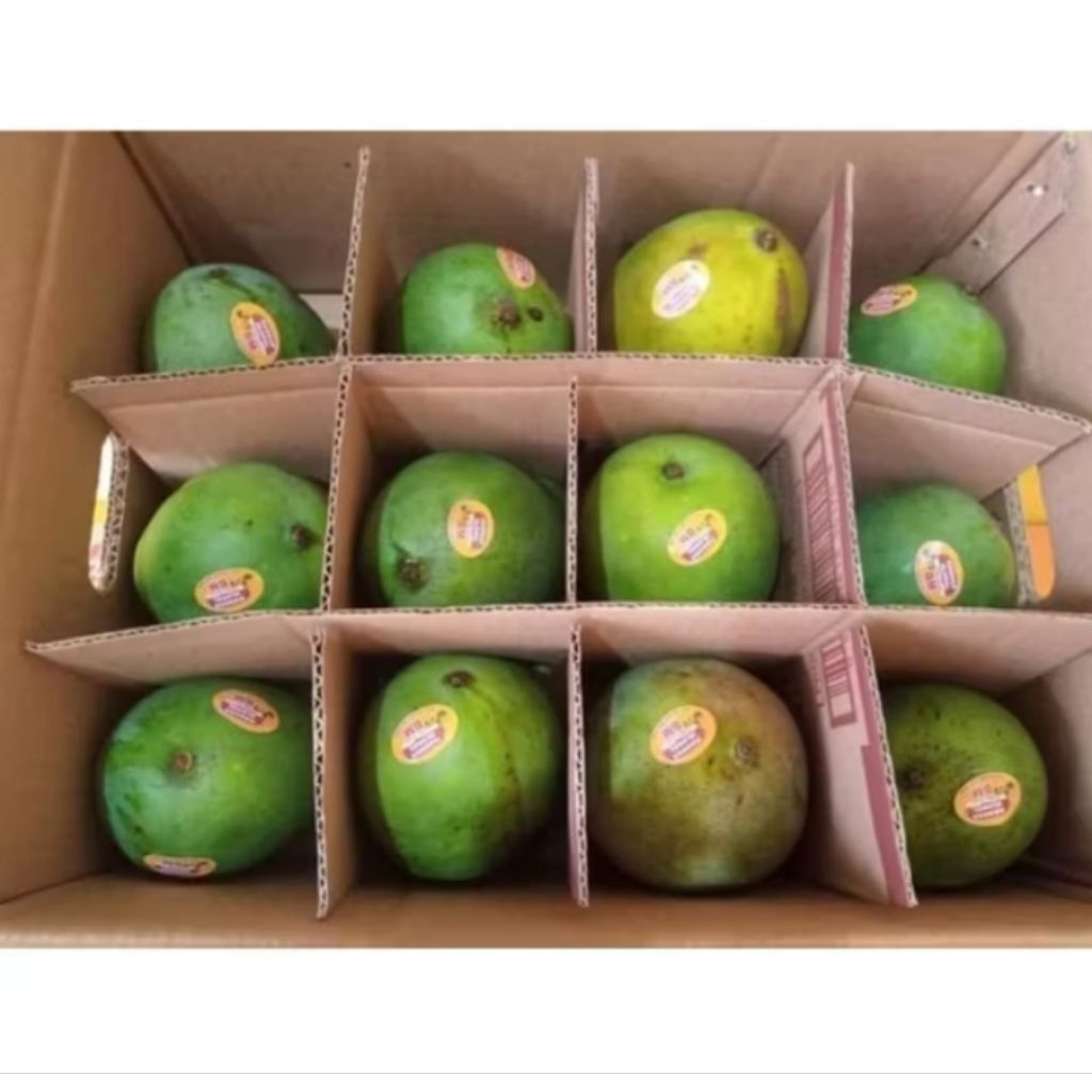 

Buah Mangga Harumanis 1kg