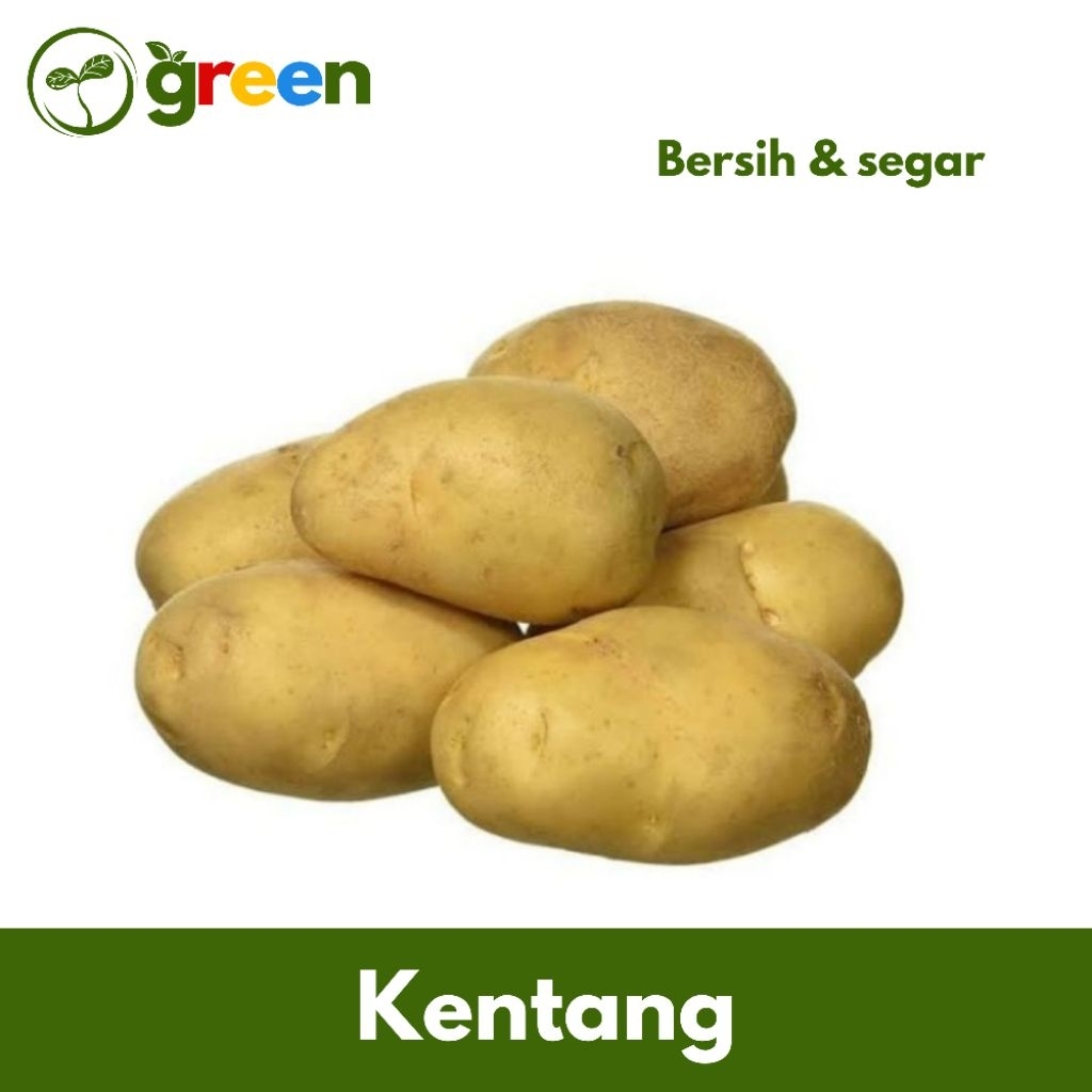 

Kentang / Potato
