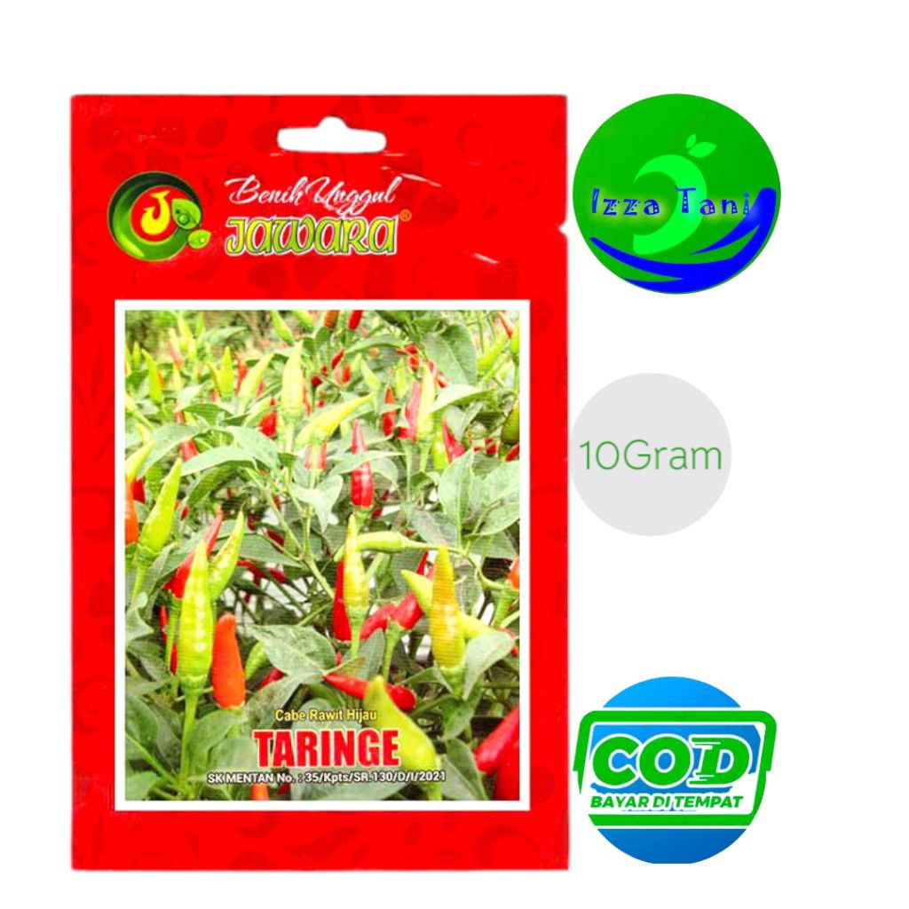 Benih Cabe Rawit Hijau Tegak Bibit Cabai Rawit