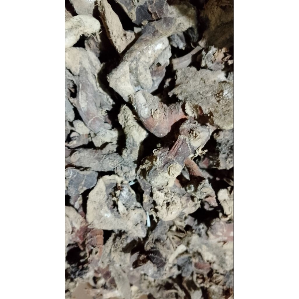 

TEMU LAOS / LENGKUAS / bahan herbal kering/ 100gr
