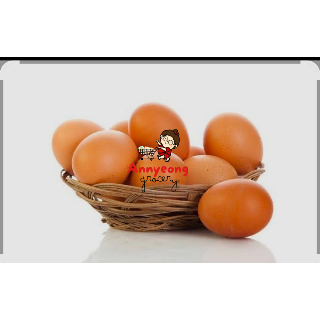 

AGS ISI 15 PCS TELUR SEGAR BERKUALITAS TELUR SERBAGUNA