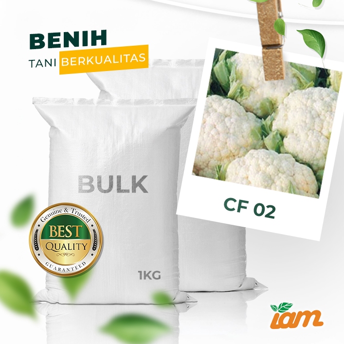 

BULK 1kg – bunga kol F1 (CF 02)