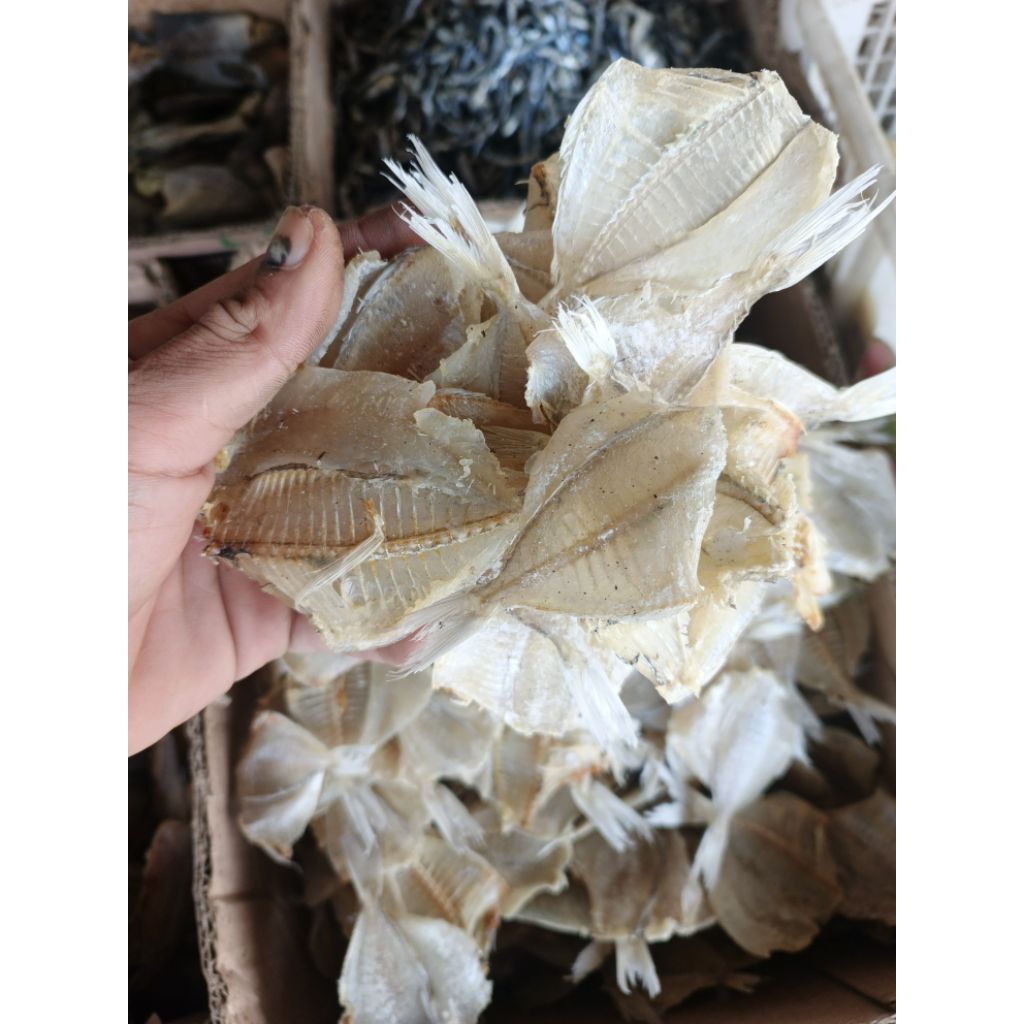 Grosir ikan asin, ikan kapasan, ikan asin belah tipis, ikan asin tipis, berat 1kg
