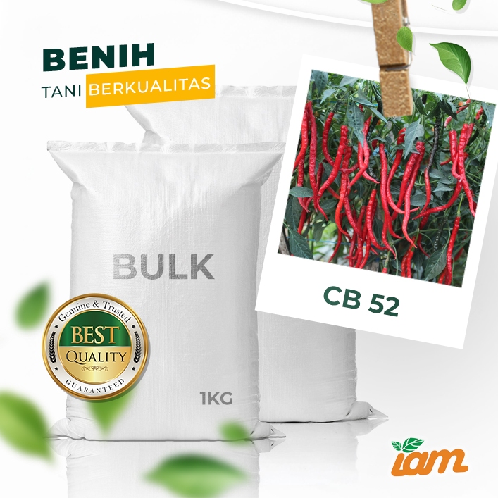 

BULK 1kg – cabai kriting F1 (CB 52)
