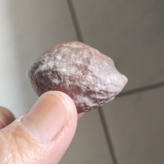 Kemiri Adu Muncang Adu Jayanti Si Poek Ori Urgen Full Tua