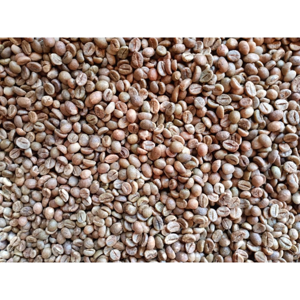 

greenbeans robusta 1kg