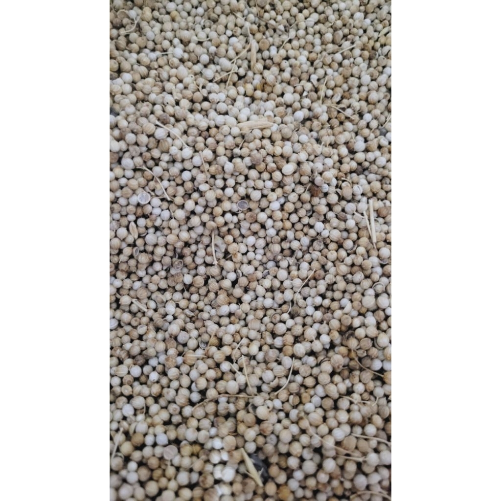 

ketumbar bumbu 1kg/500gr/250gr