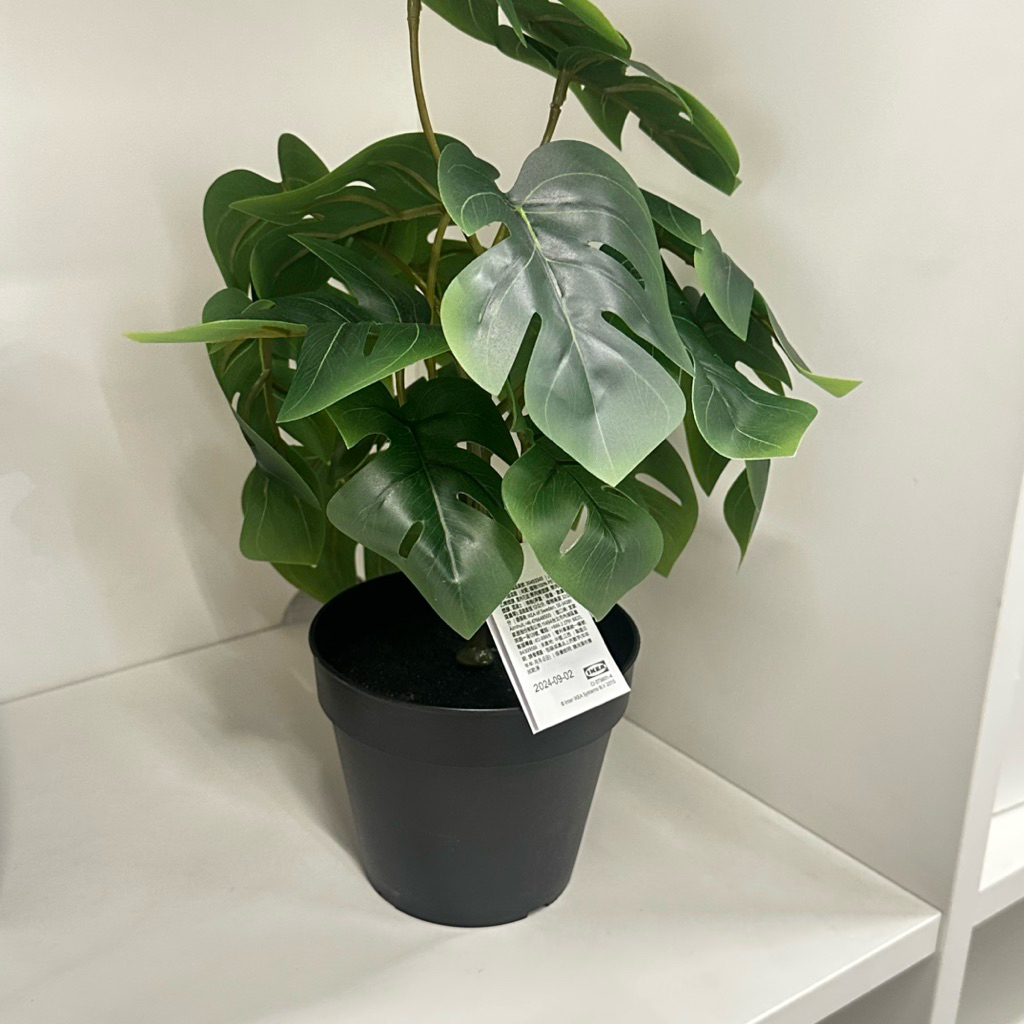 Tanaman Tiruan Dalam/ Luar Ruangan Monstera 12cm FEJKA