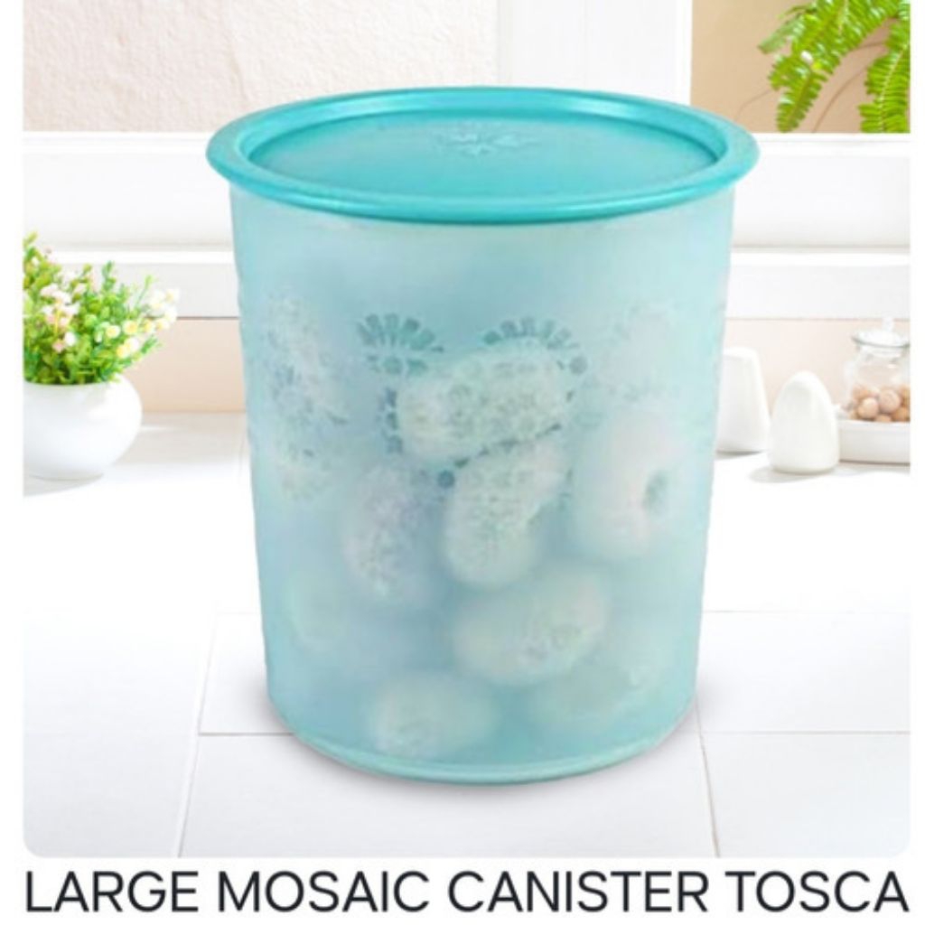 Large Mozcan 4L Tupperware/ Toples Original