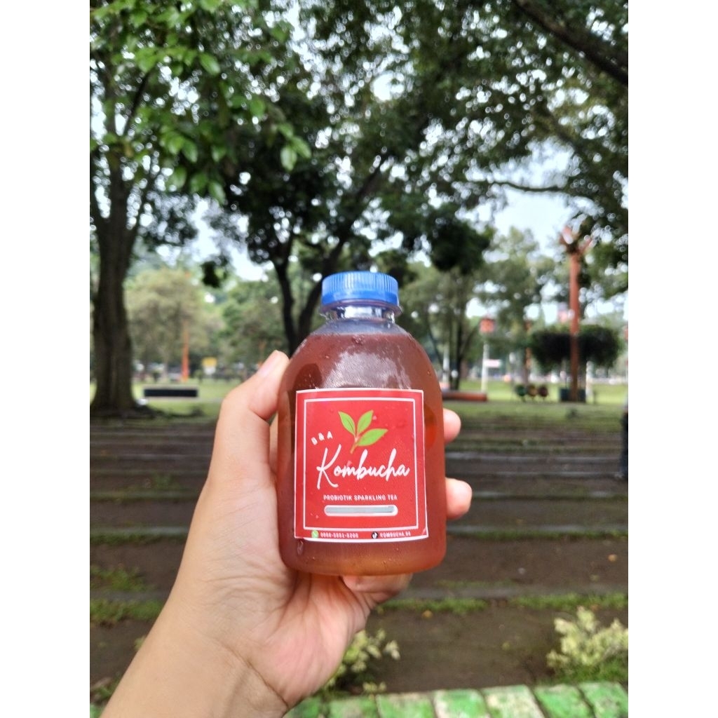 

kombucha black tea 250 ml