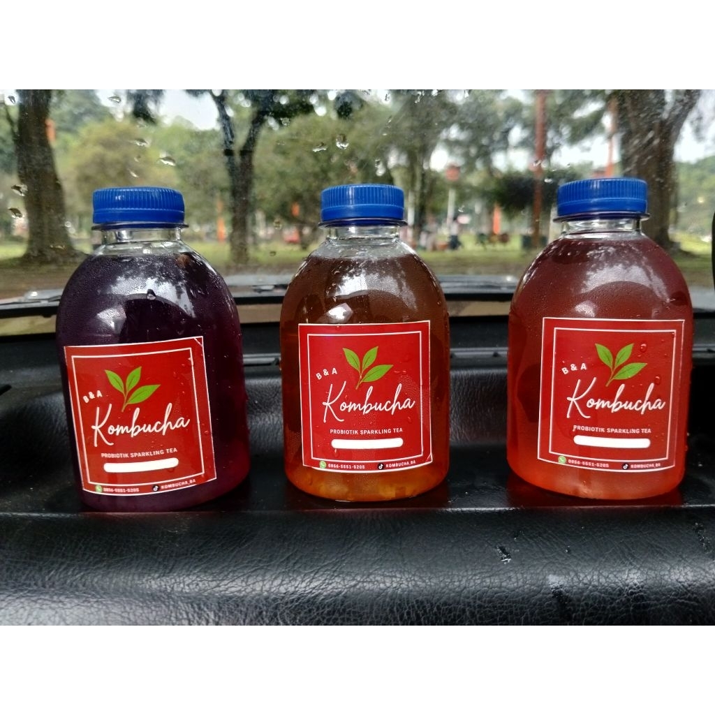 

kombucha Paket hemat 3 rasa ukuran 250ml