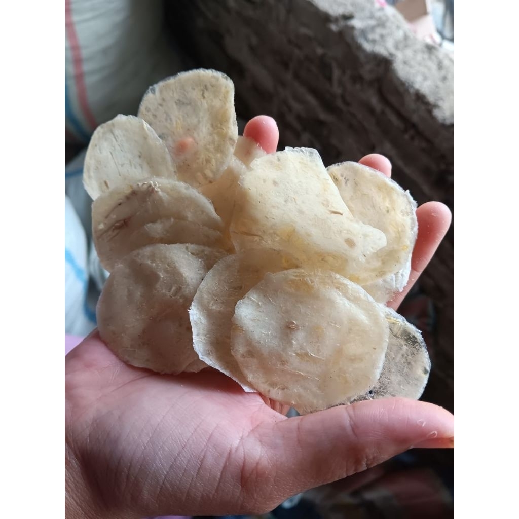 

KERIPIK OPAK SINGKONG MENTAH COIN