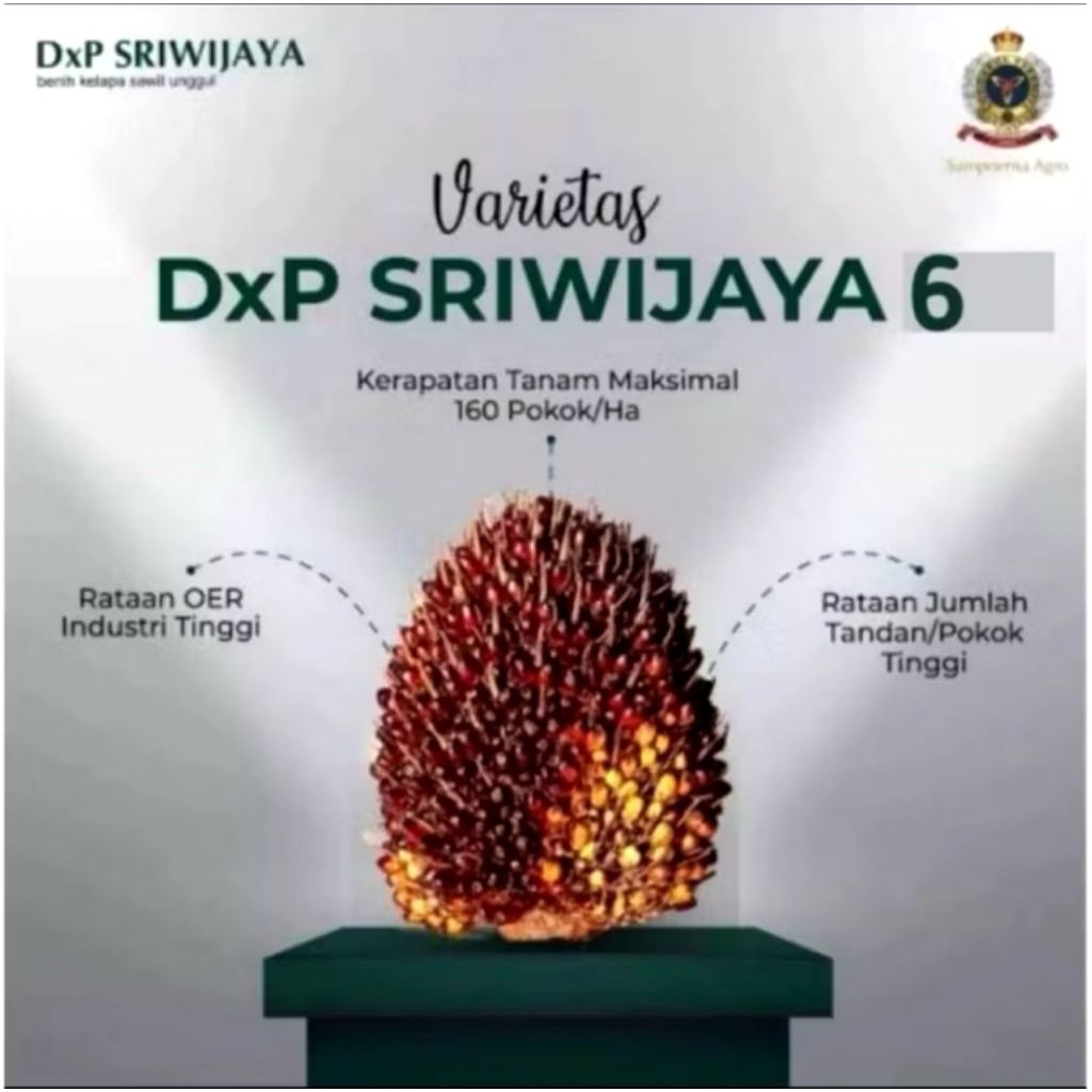 MACAM MACAM BENIH SRIWIJAYA 6