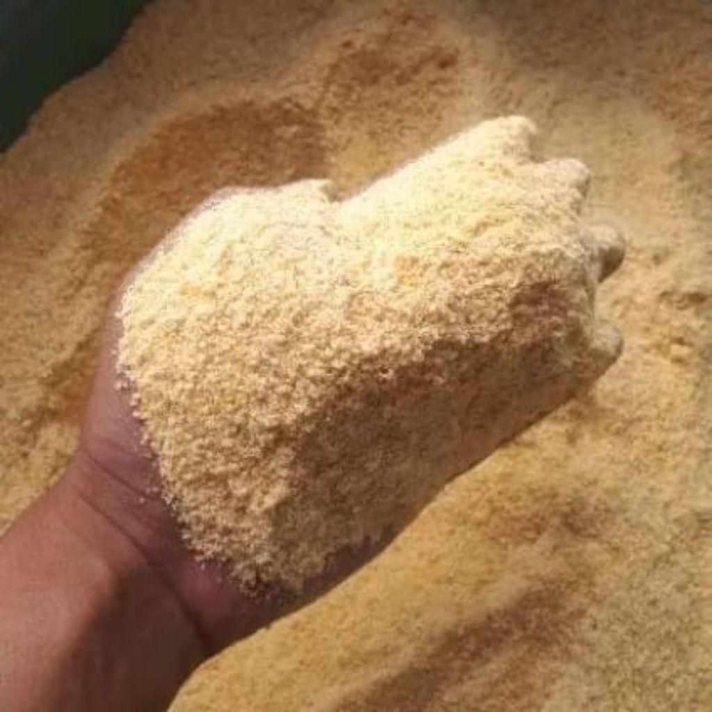 

tepung jagung murni asli pertanian penganti nasi buat segala macam bahan makanan