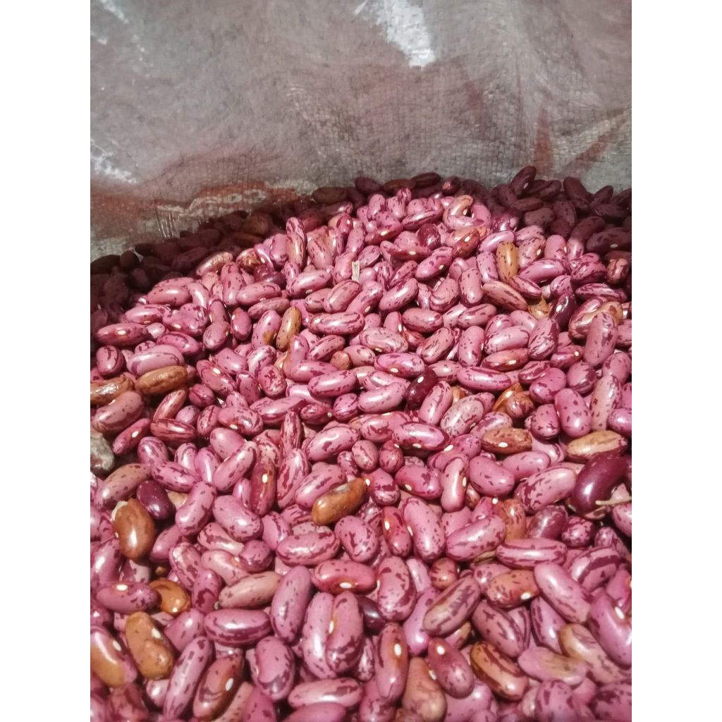 

Kacang Merah Joglo /Senerek Kering Premium tanpa campuran