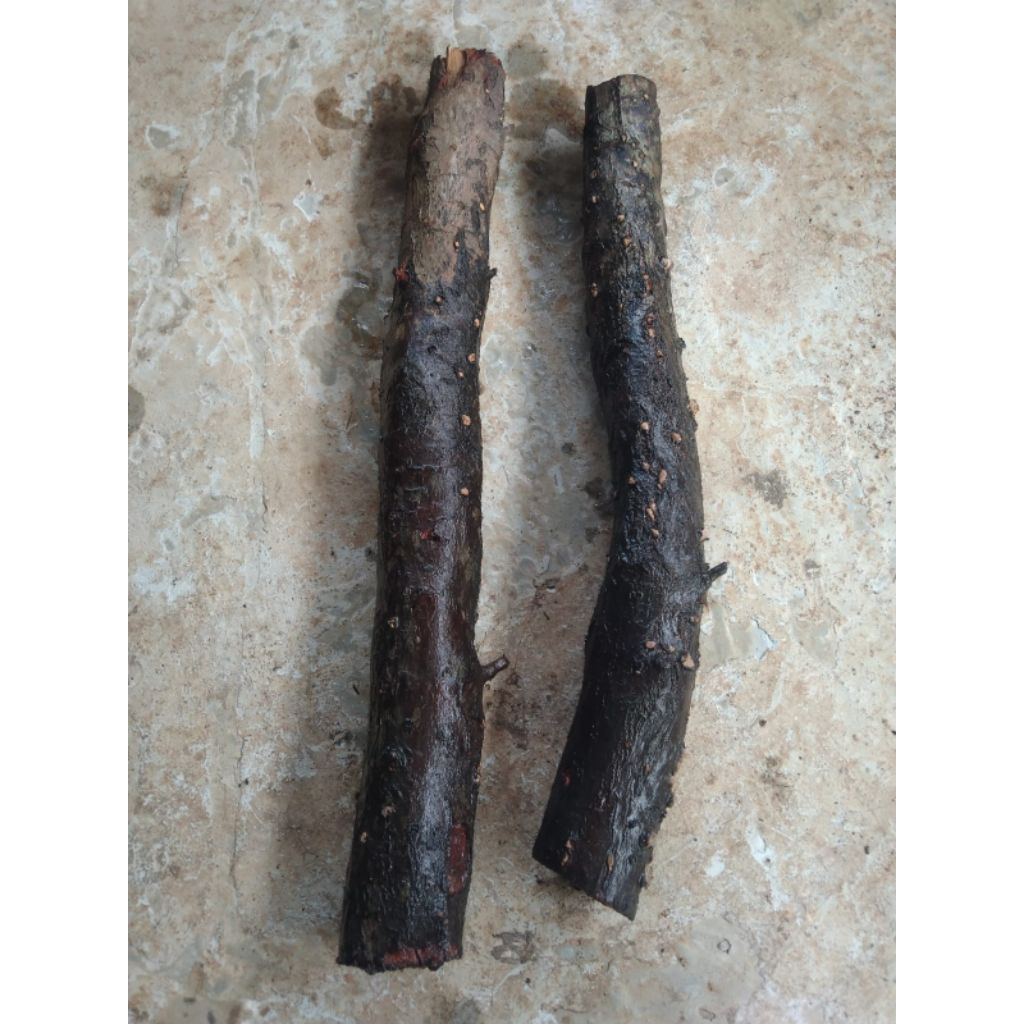 kayu dewandaru bahan aksesoris pilihan