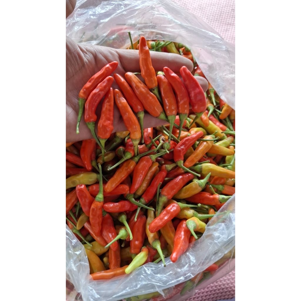 

Cabai rawit merah segar 100gram