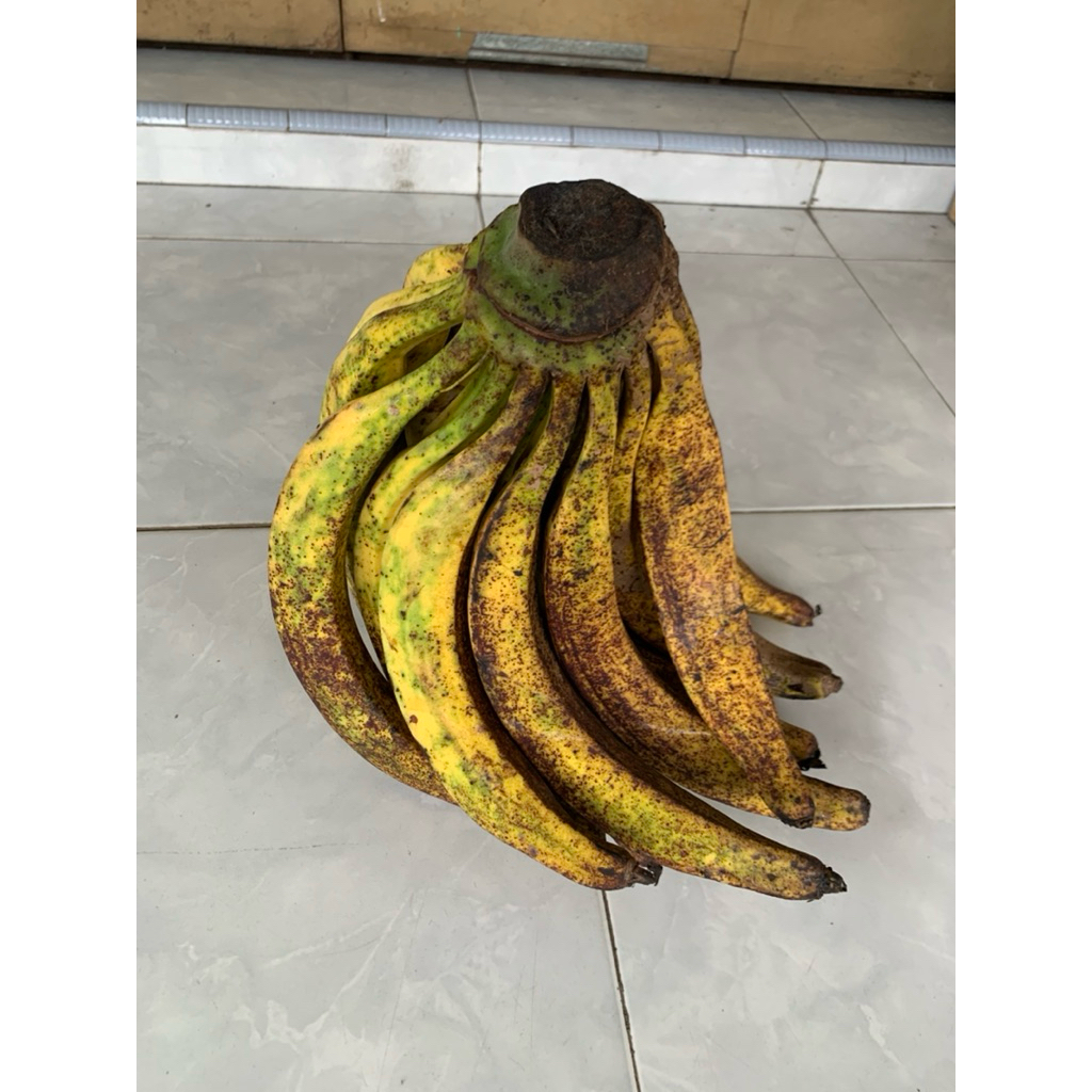 

Pisang Tanduk super mateng alami