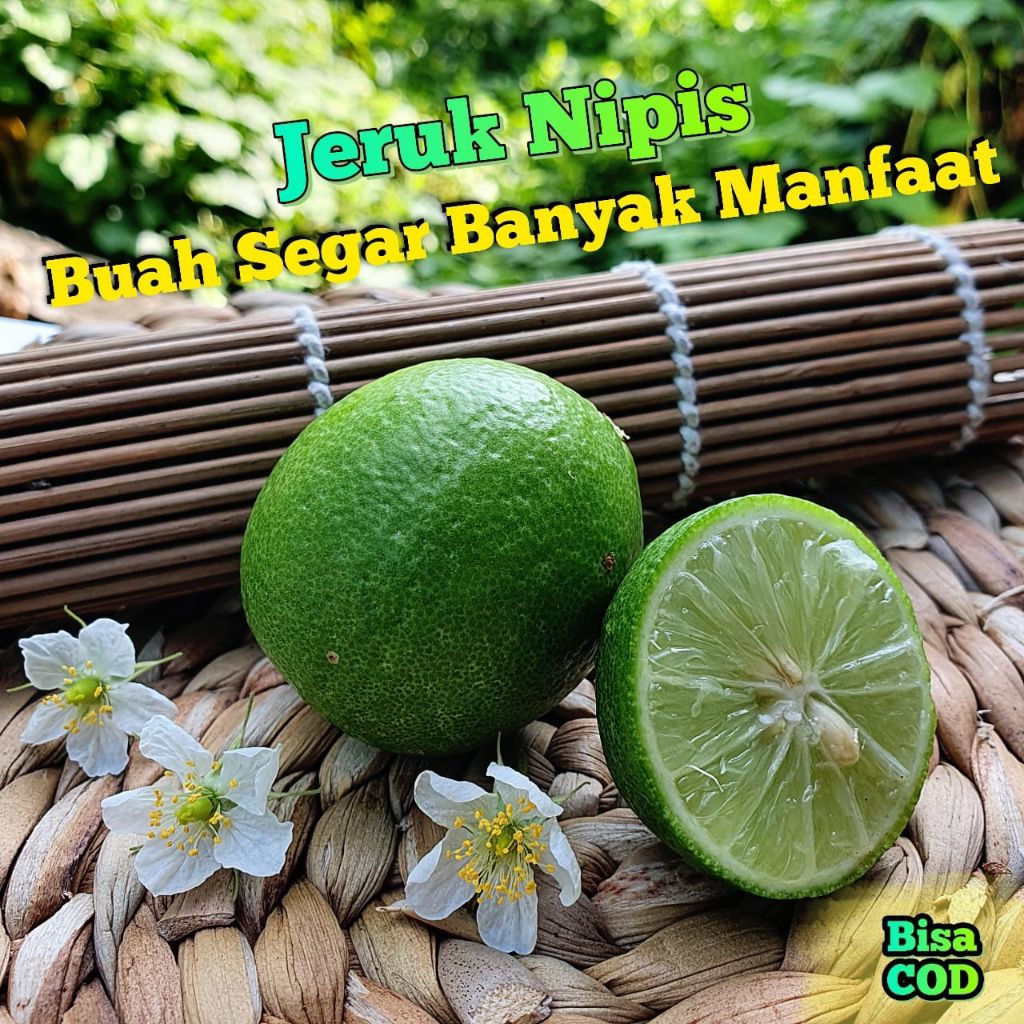 

Jeruk Nipis || Jeruk Pecel 1kg Segar Fresh (Langsung di Petik)