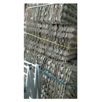 Egg Tray Karton Kertas Tempat Telur Telor Ayam Bekas Second Bagus 30